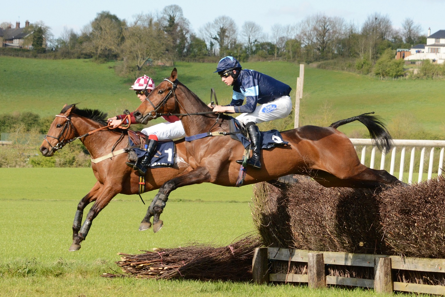 CVNNH Point-to-Point 2018 is now on Easter Monday 2nd April-First Race 1pm