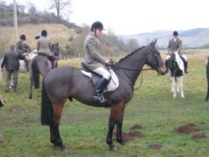 For Sale Hunter: Merlin